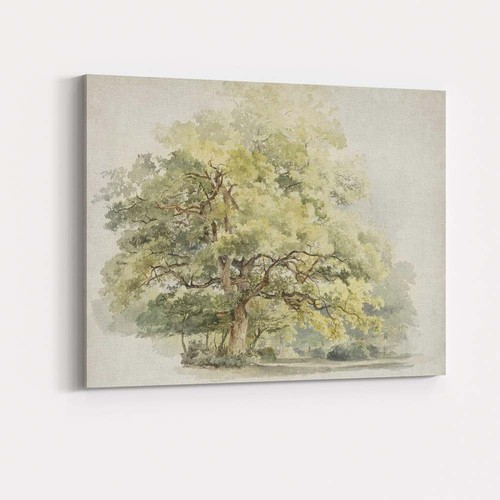 Canvas wall art decor - wall, picture
