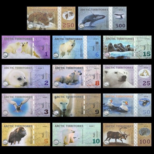 Arctic territories set 14pcs - arctic,
