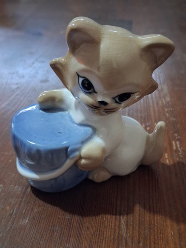 Szeiler cat kitten with - /,