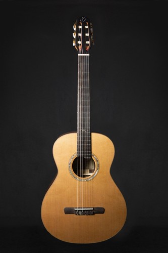 Dowina master series amber - master,