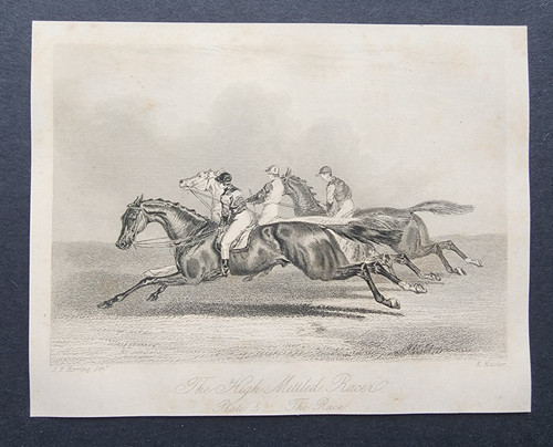 Antique 1846 print horse - -,