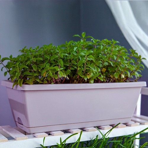 5pcs plastic trough plant pot - 5pcs,