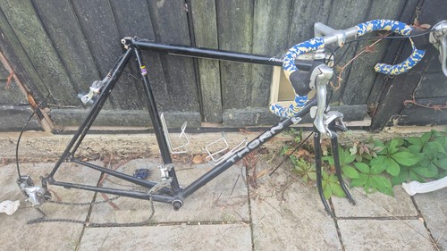 Thorn audax frame with - thorn,