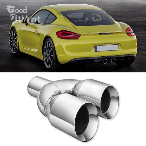Dual exhaust pipe tip in - dual,