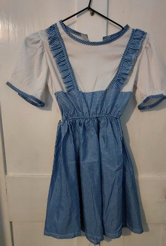 Wizard dorothy costume - of, oz