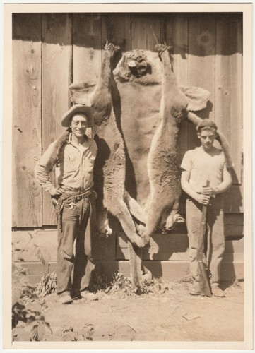 Large vintage mountain lion - vintage,