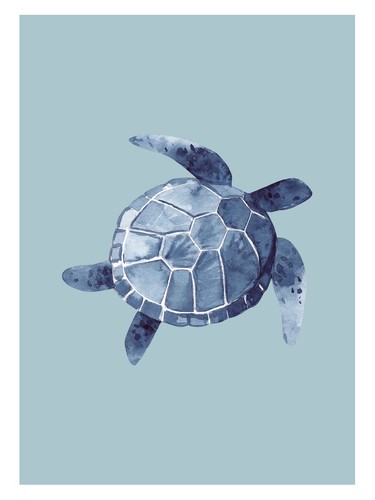 Blue sea turtle - sea,