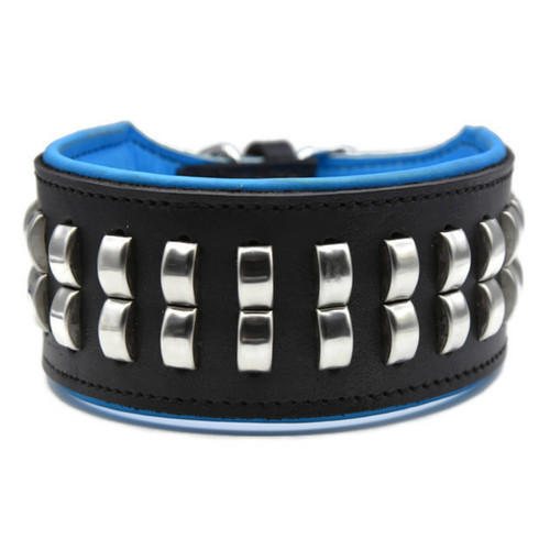 Wide studded dog collar - dog,