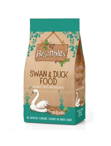 Swan duck food brambles - duck,