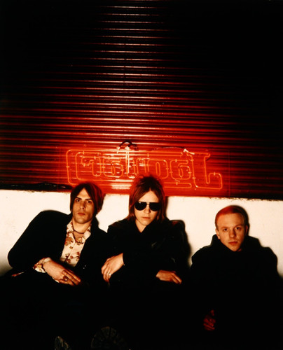 Jaguar band photo transparency - jaguar,