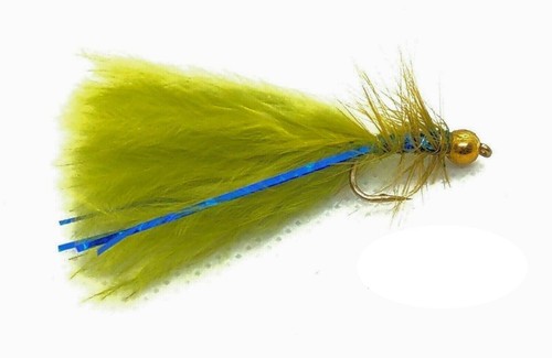 Olive blue flash damsel - flash,