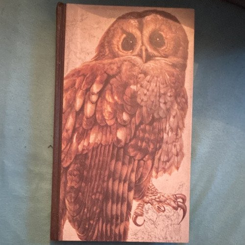 Book british birds - of,