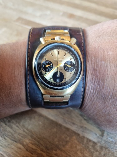 Citizen bullhead 8110 - bullhead,