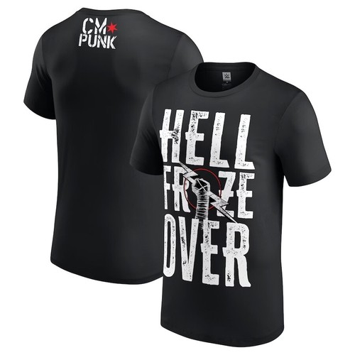 Wwe punk hell froze - punk,