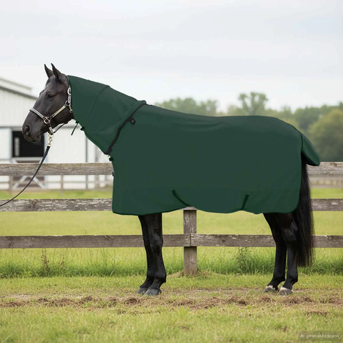 Horse blanket full - horse, dark