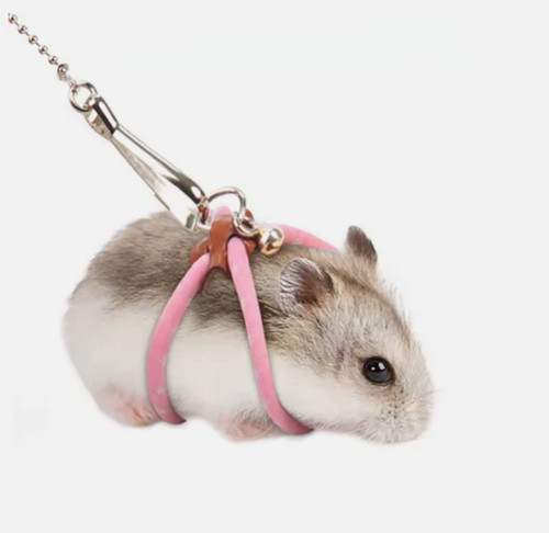 Adjustable small pet rat - pet,