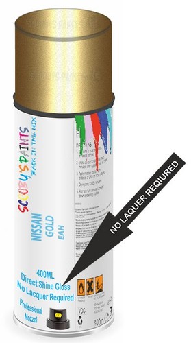 Direct shine paint spray - shine,