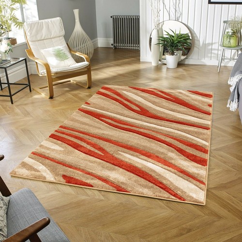 Modern large rugs for living - large,