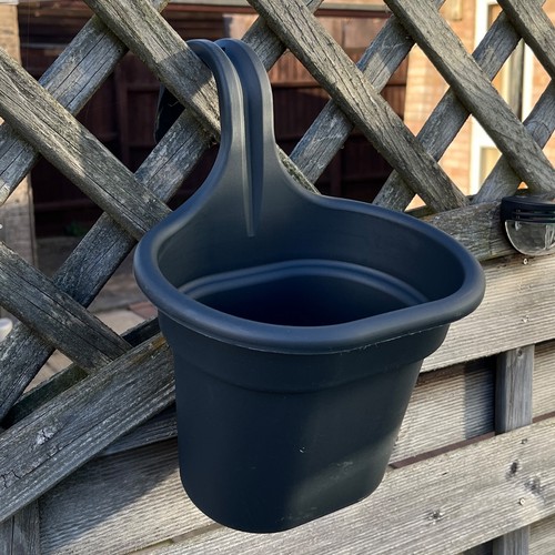 Dark grey hanging - 4, plant