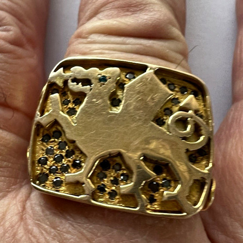 Men 9ct yellow gold welsh - gold,
