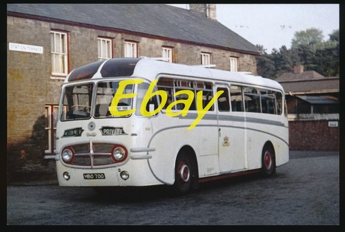 Bus photo daimler western - bus, photo,