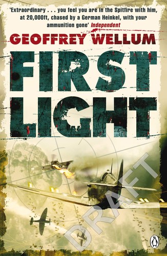 First light penguin world war - (penguin,