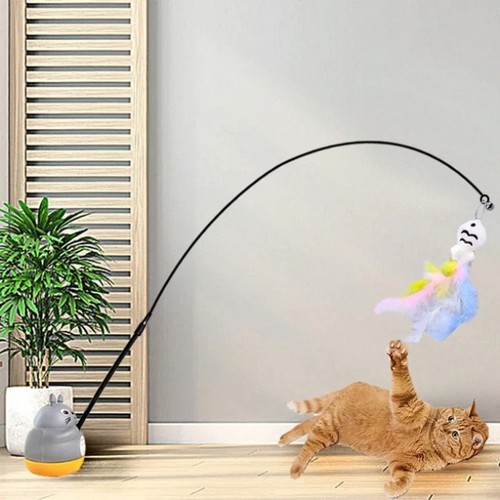 Cat kitten toy - cat,