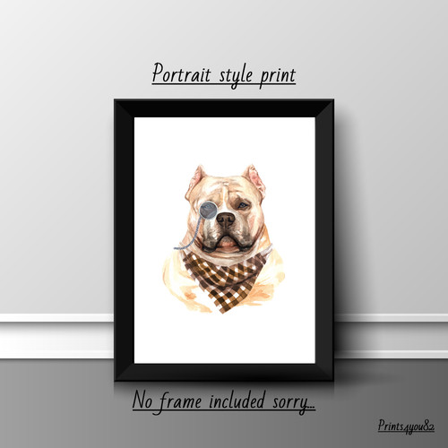 American bully dog pet - bully, a4