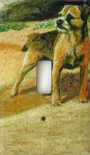 Border Terrier single toggle