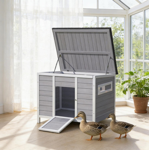 Duck house pet - pet,
