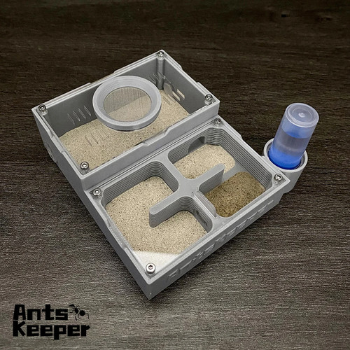 Ant farm flat - ant, room