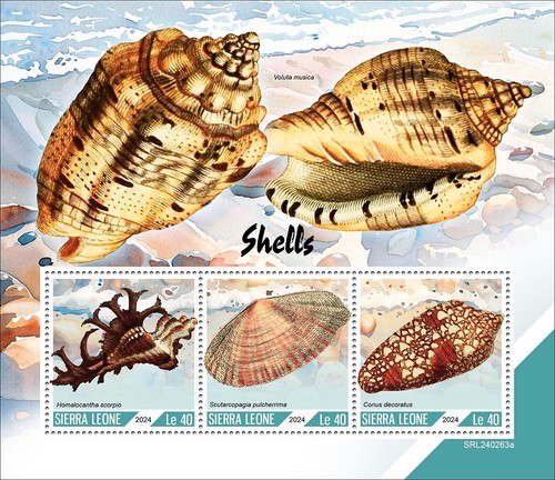 Shells mnh stamps 2024 - shells,