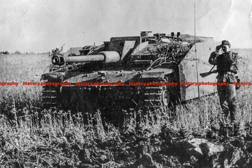 F007993 german sturmgeschutz - german,