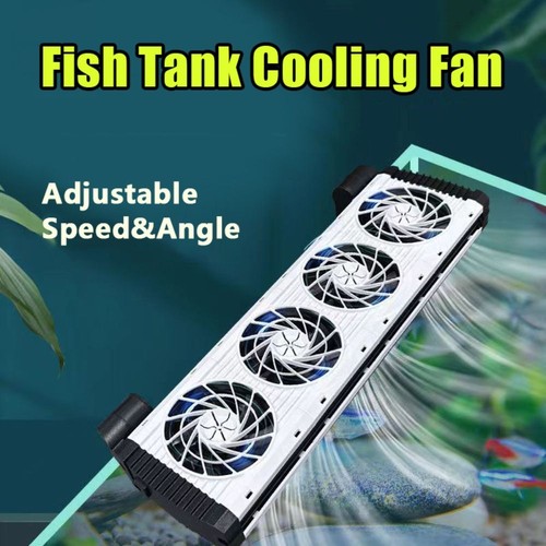 Aquarium chiller fish tank - aquarium,