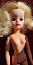 Pretty Pedigree Sindy