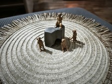 Playmobil Meerkat Set