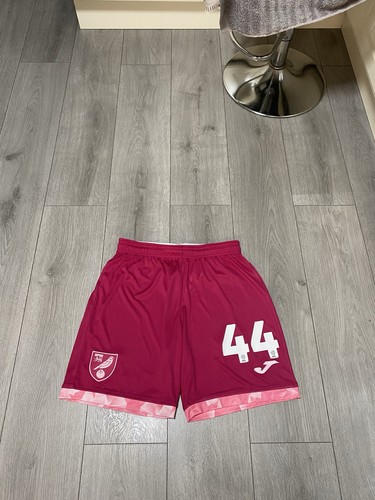Norwich city match worn elliot - norwich,