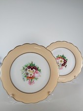 Two Antique Botanical Plates