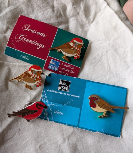 Rspb robin enamel badge - rspb,