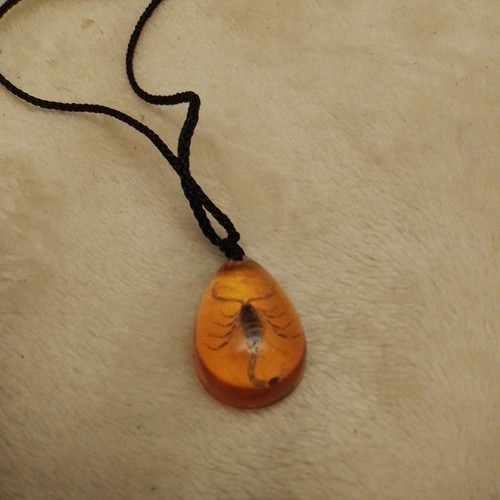 Amber with golden - amber, black