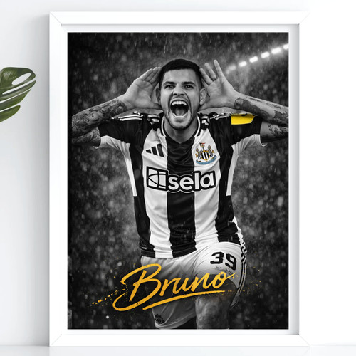 Newcastle fan football - newcastle,