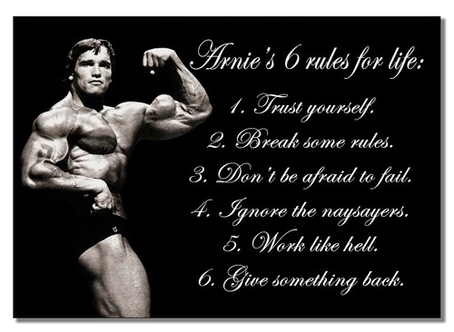 Arnies rules motivation poster - arnies,