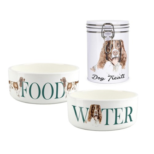 Springer spaniel pet - spaniel, bowls