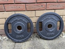 2 x 15kg Bodymax Olympic