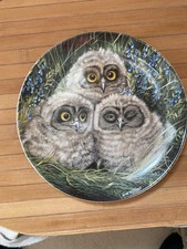 wedgwood decorative plates