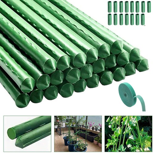 120 green garden - green, plant
