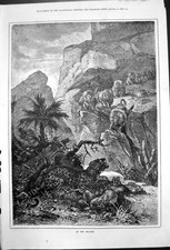 Old Antique Print To Rescue Leopard Prey Watched Lions Rocky Gorge 1878 19th