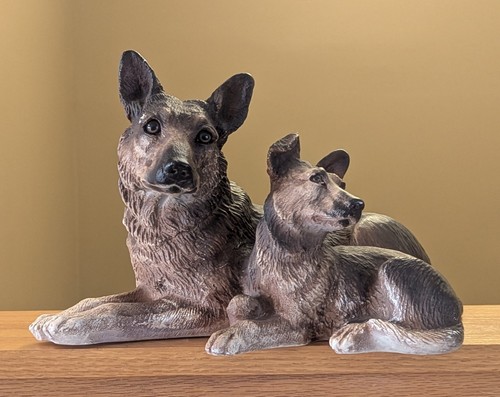 Resting german shepherd - resting,