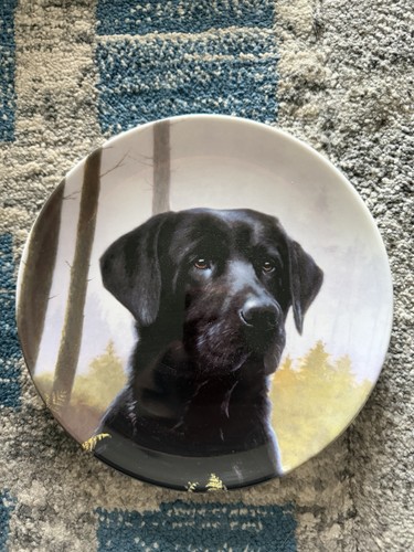 Danbury mint did you - “did,