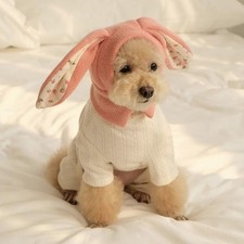 Rabbit Quiet Ears for Dogs Pet
